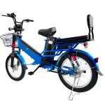 厂家直销20寸肥胎辐条轮载重前叉双电池电动自行车